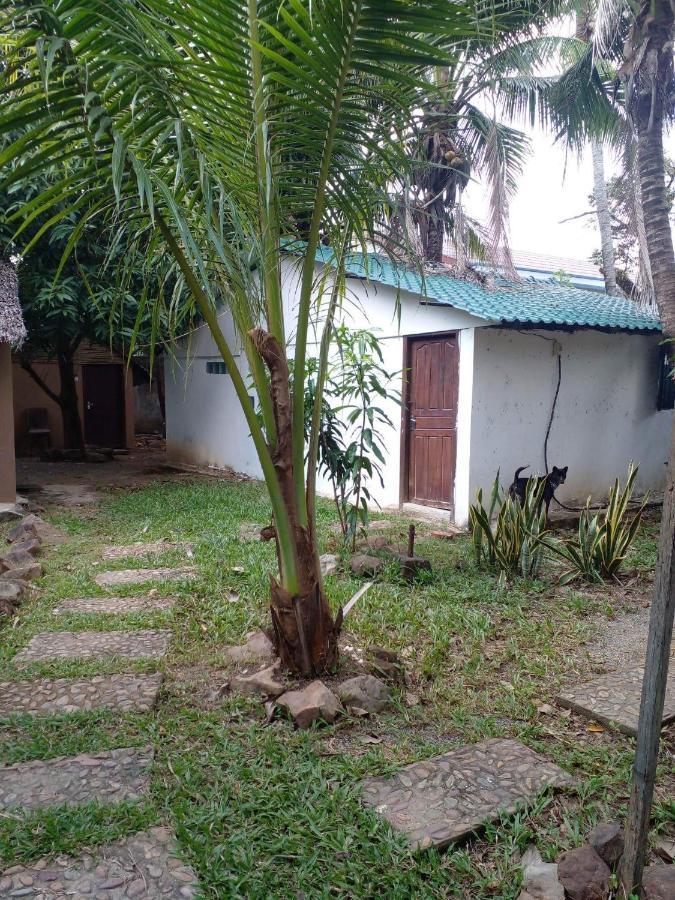The Plantation Hostel Kampot Luaran gambar